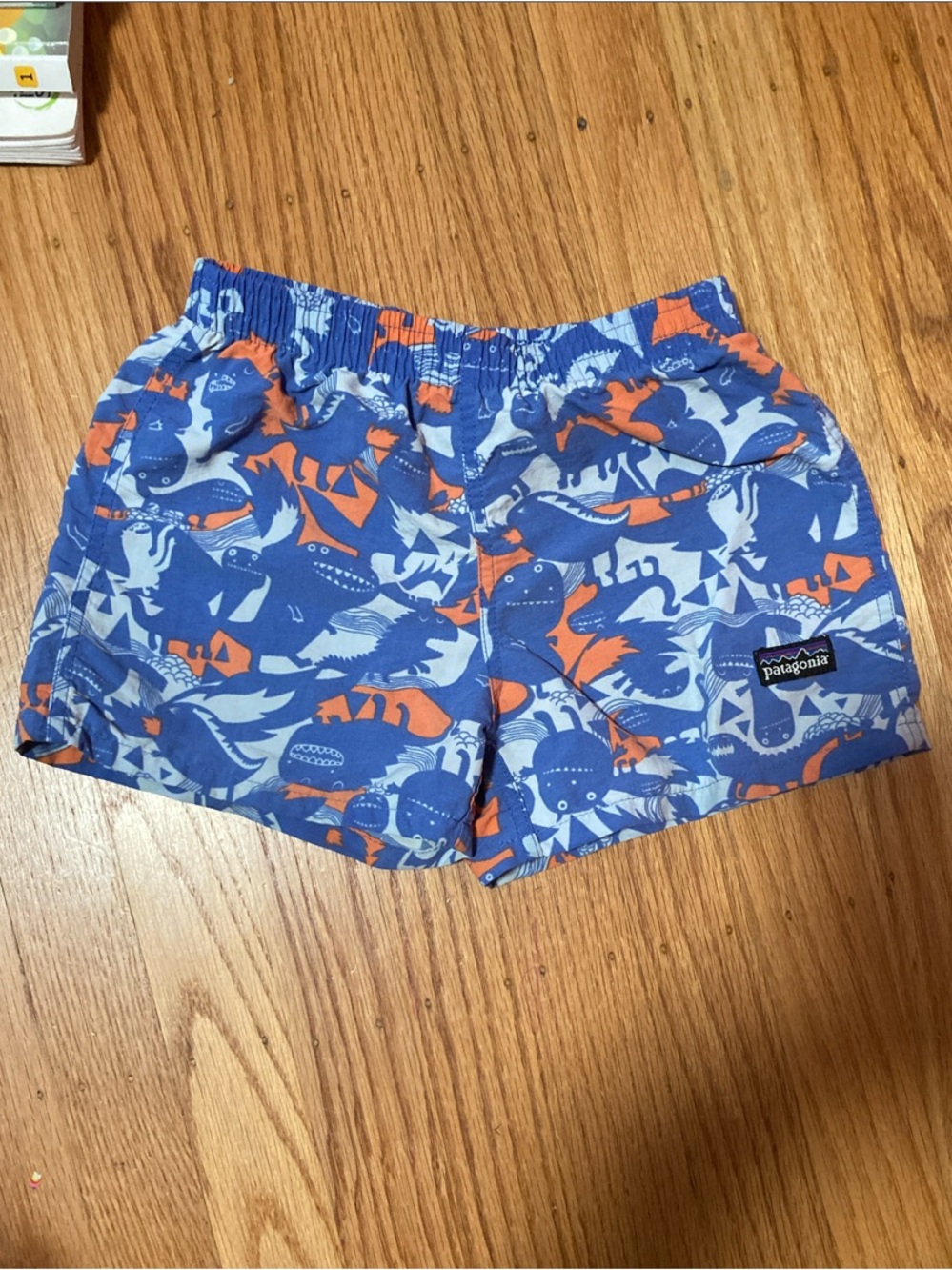 Patagonia Kids Blue & Orange Baggies /Swim Trunks